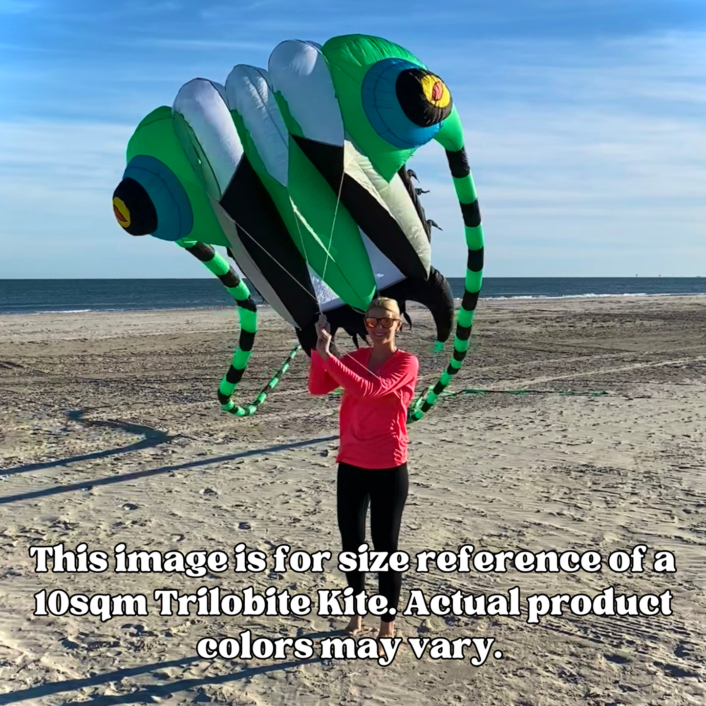 Person holding a large green and black trilobite kite on a beach