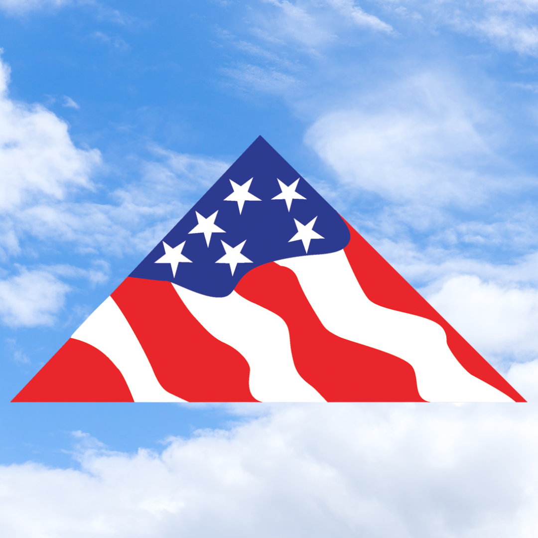 11ft Delta Kite - Patriotic