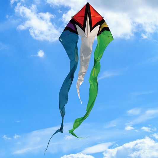 13ft Flo-Tail Kite - Rainbow Burst