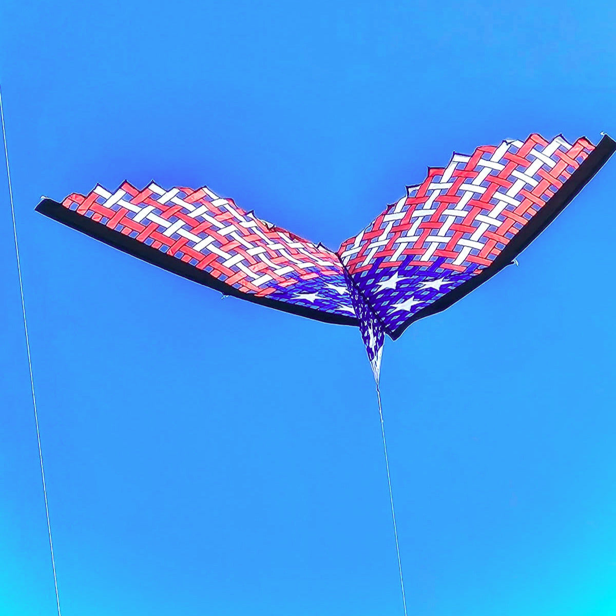 19ft Mesh Delta - Patriotic