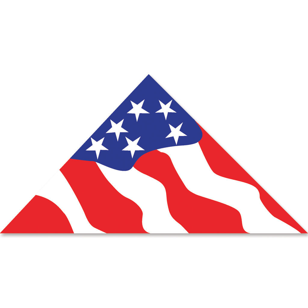 11ft Delta Kite - Patriotic