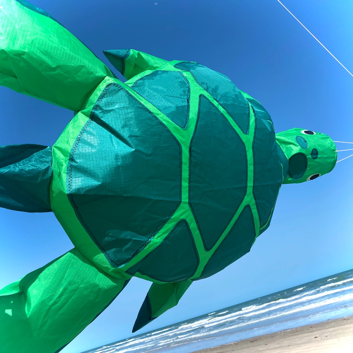Big Breeze Windsock - Turtle