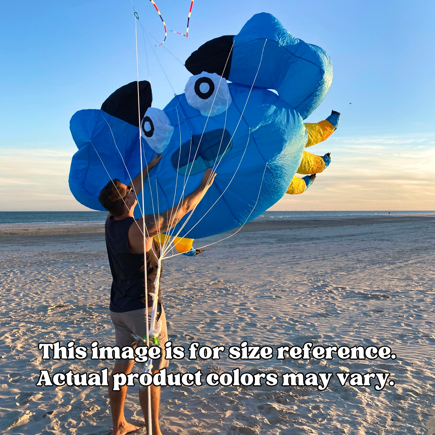 Person holding a large blue kite on a beach with text for size reference.