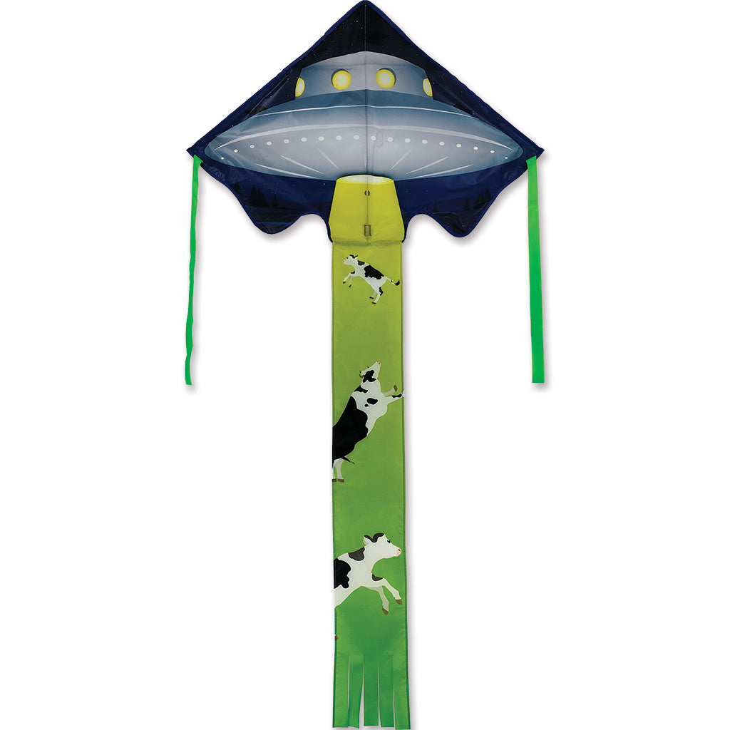 Large Easy Flyer Kite - UFO