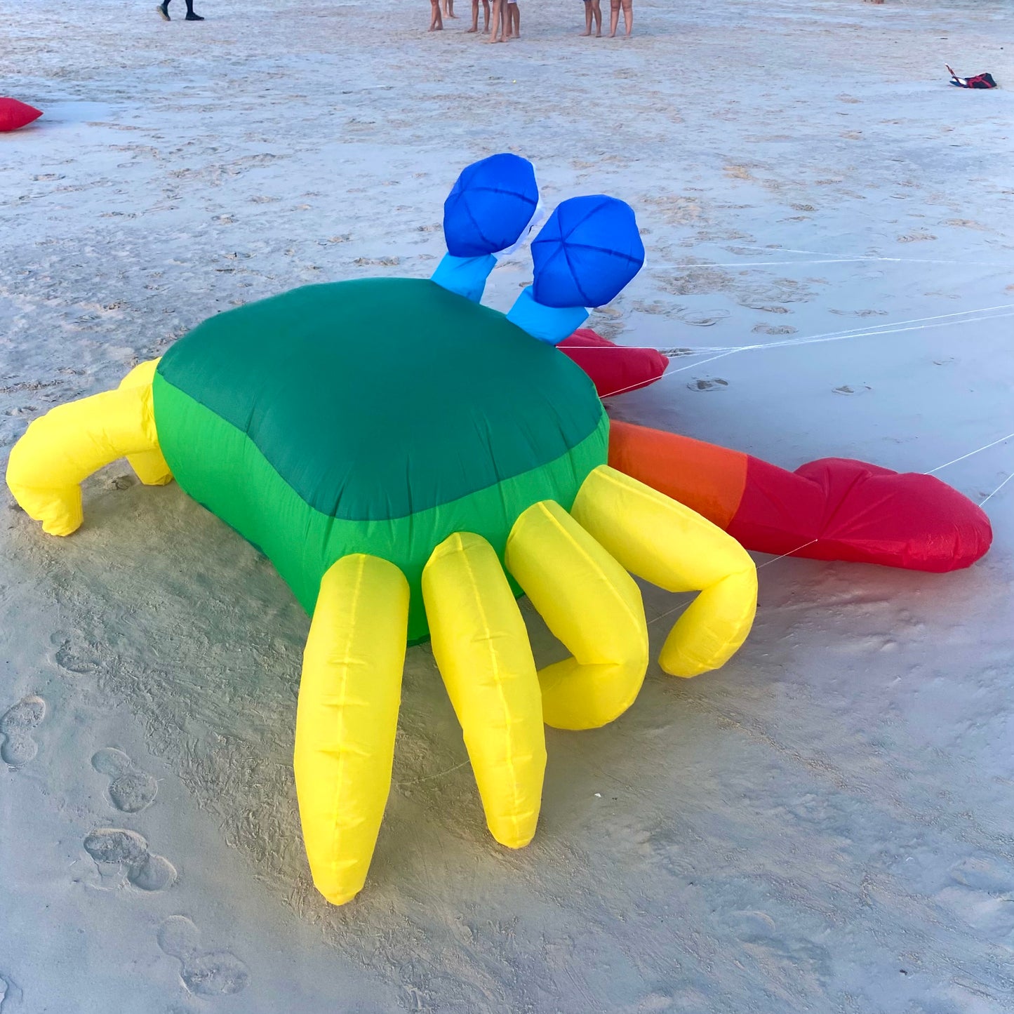 Billy the Crab 3M - Green
