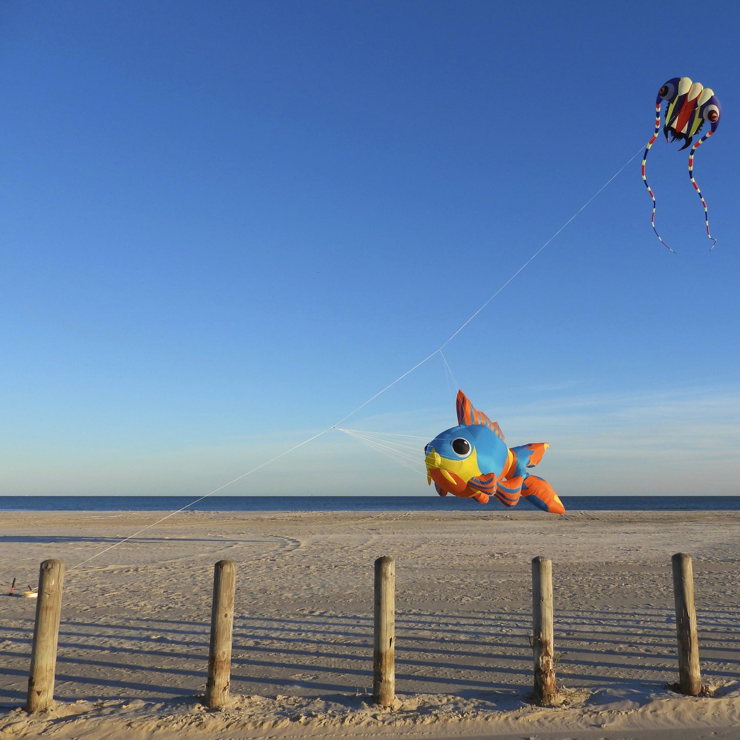 Blue and orange goldfish shaped kite with the ocean and sand in the background.