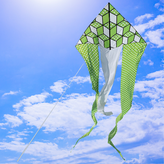 6.5' Flo-Tail Delta Kite - Green Cubes