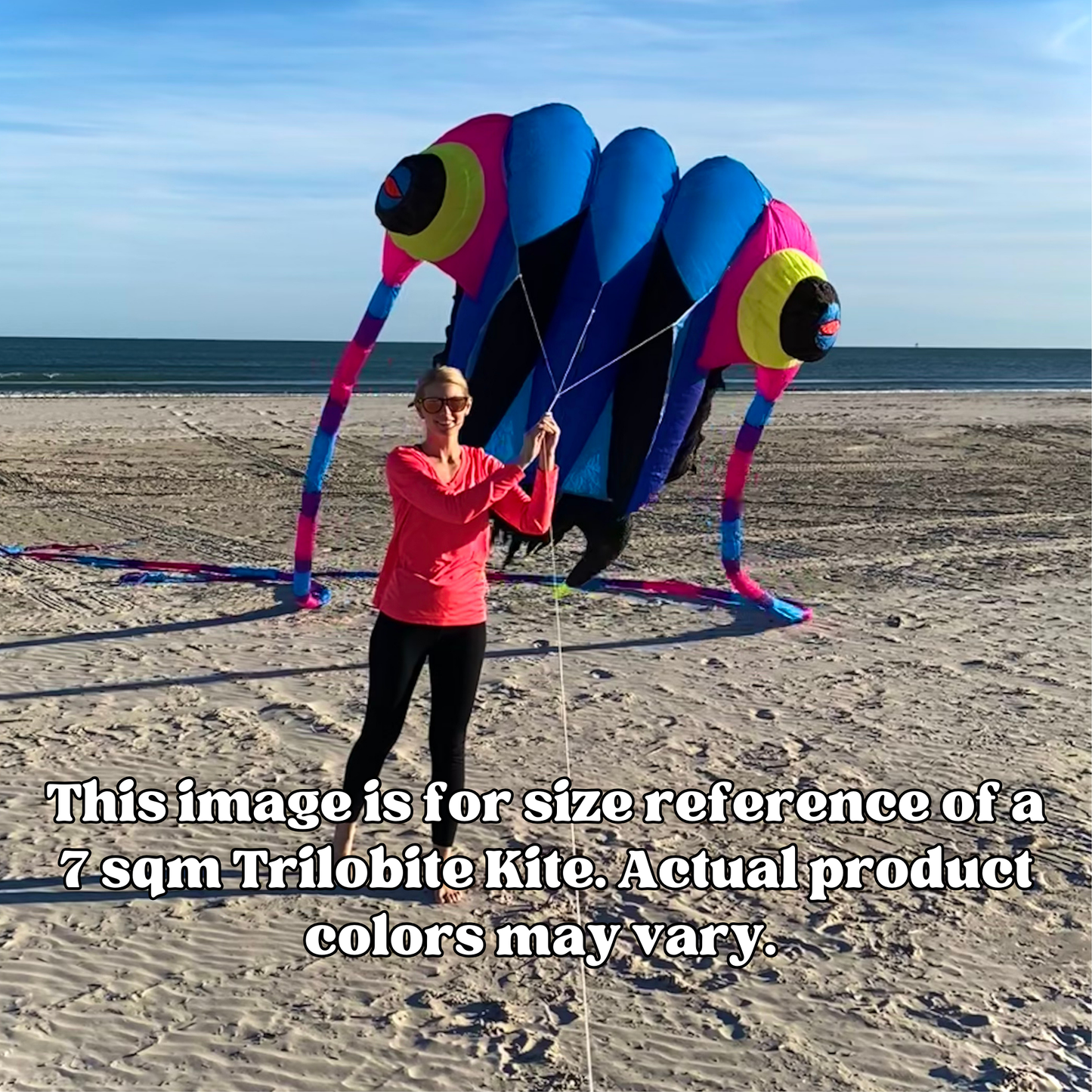 Person holding a large blue and pink kite on a sandy beach with text for size reference.