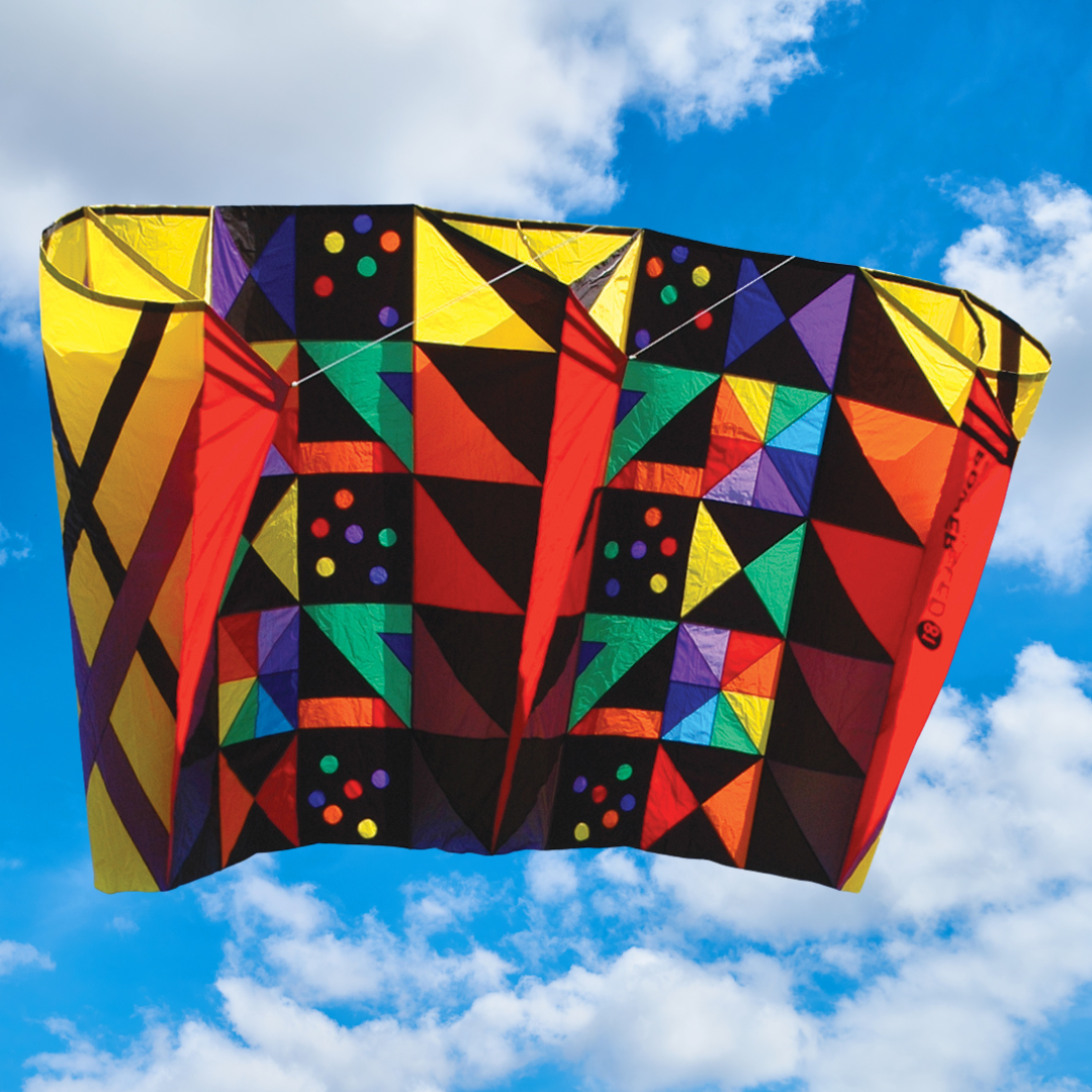 Power Sled 81 - Barbara Meyer