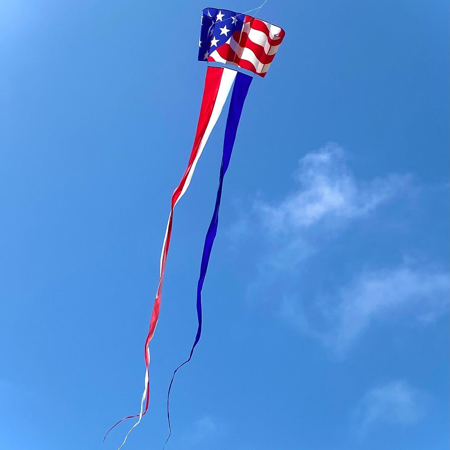 75ft Banner Tail - Blue