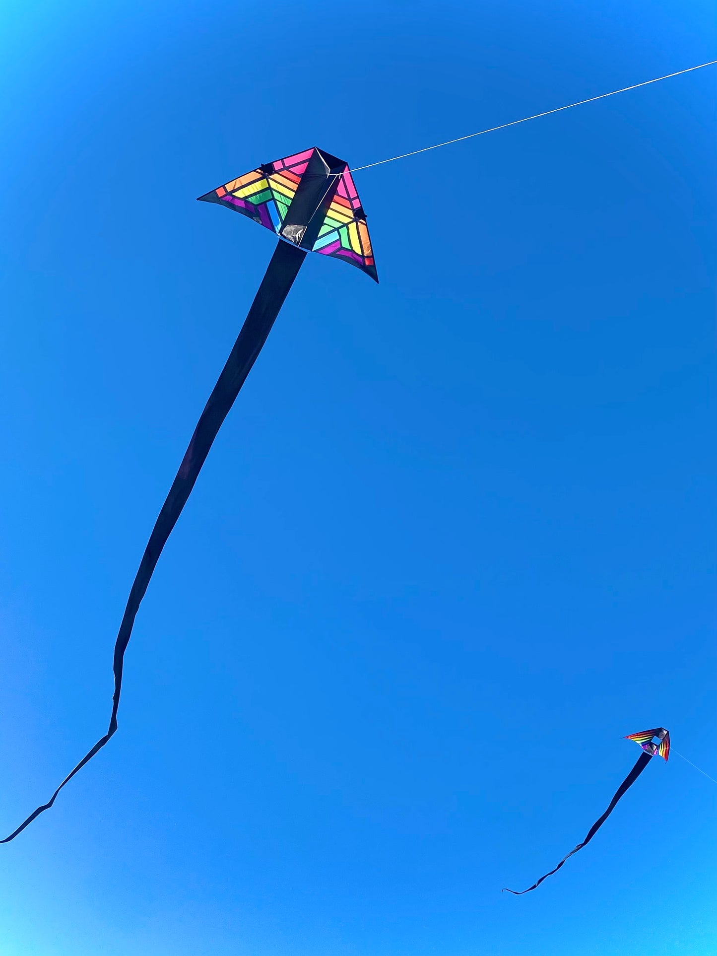 75ft Banner Tail - Black