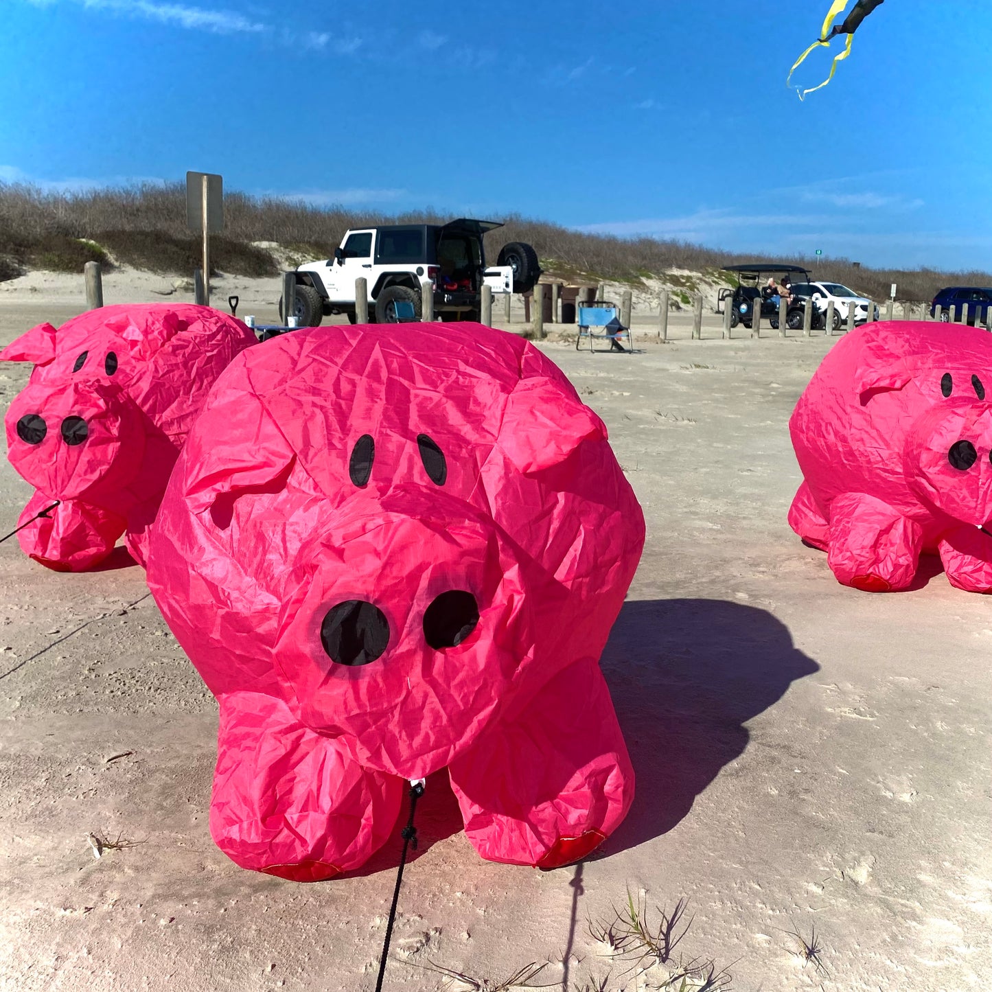 Bouncing Buddy - Porky