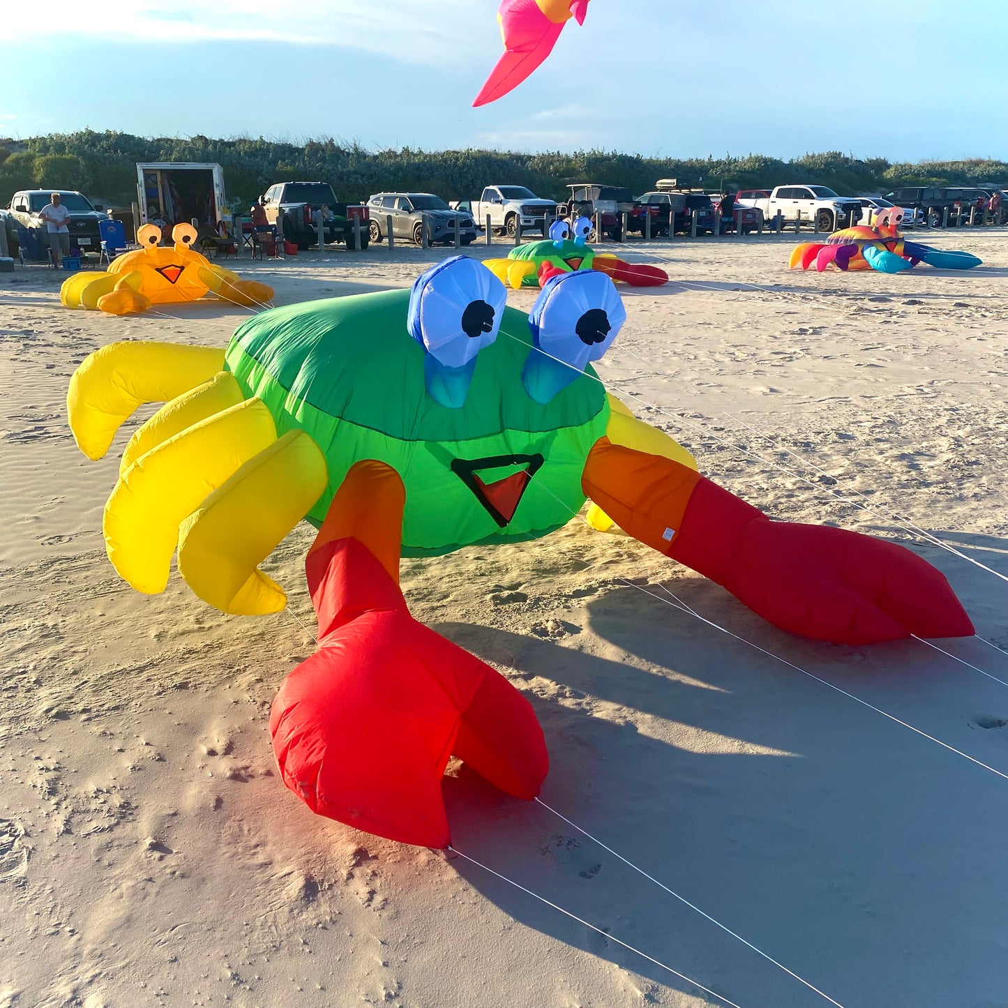 Billy the Crab 3M - Green