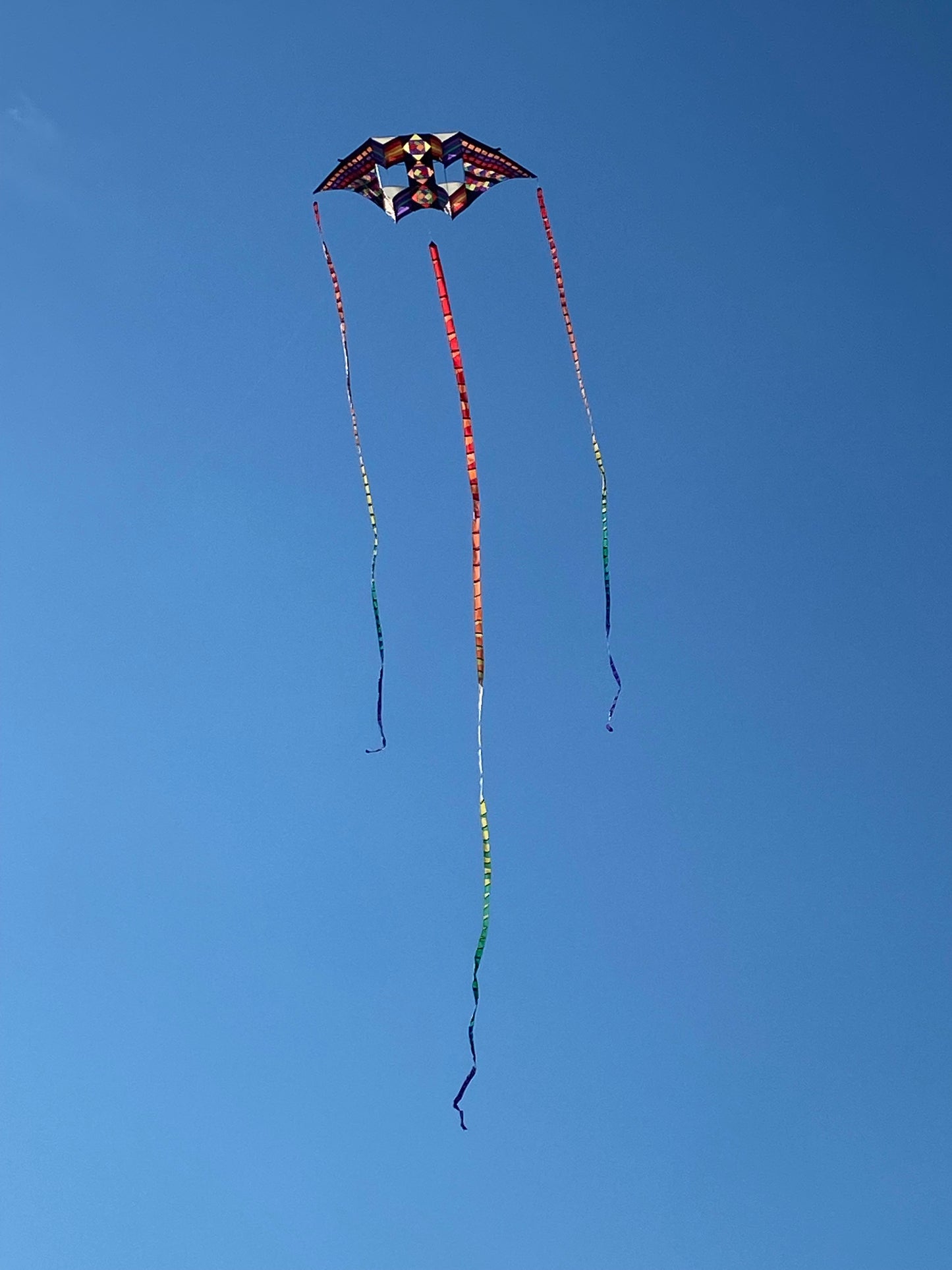 12.5' Swept Wing Kite - Mayan Rainbow