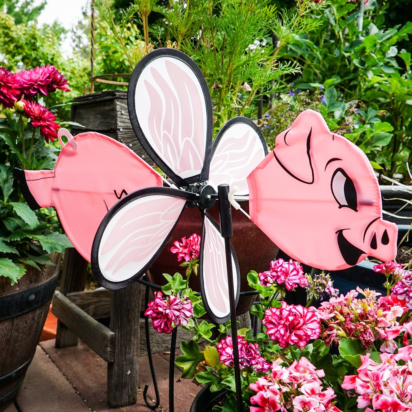 Baby Ground Spinner - Piggy