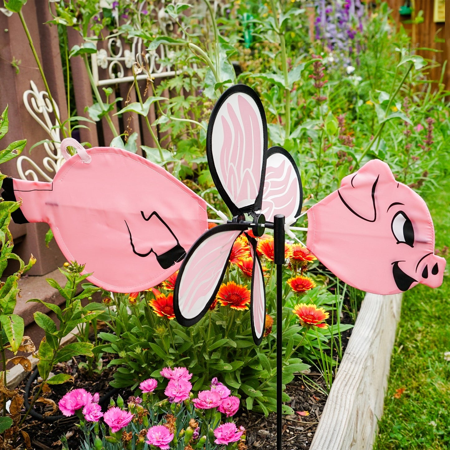 Baby Ground Spinner - Piggy