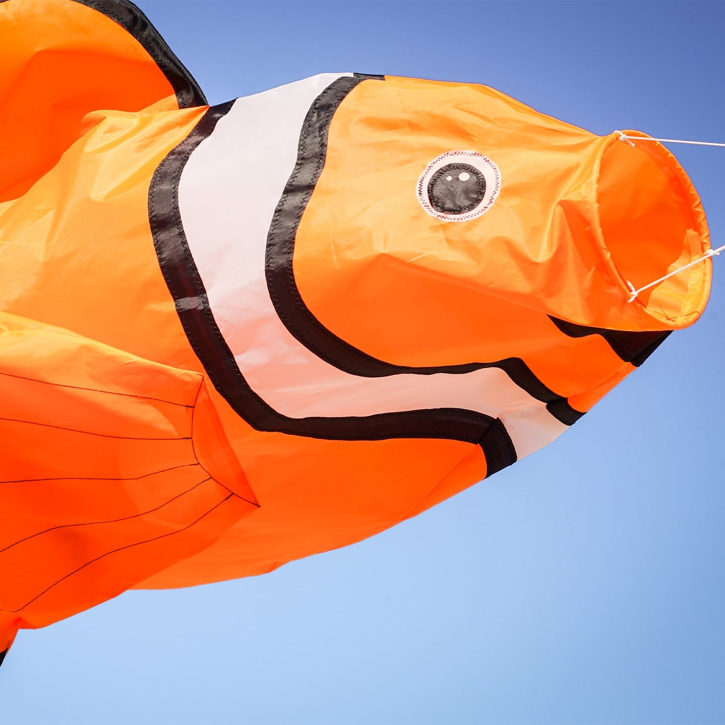 Big Breeze Windsock - Clownfish