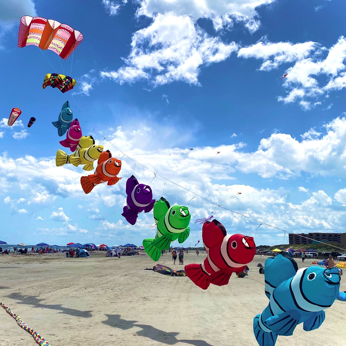Colorful fish-shaped kites flying in the sky above a beach.