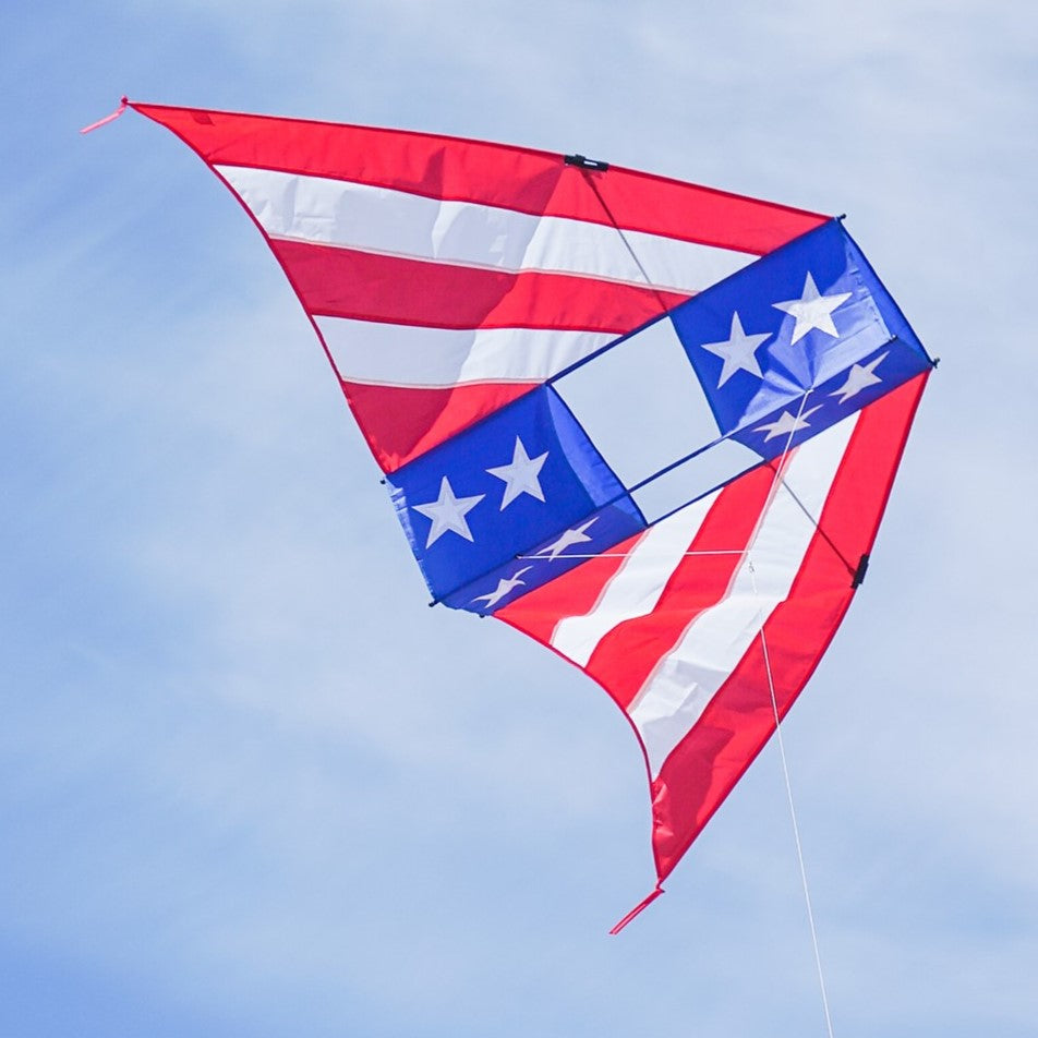 Conyne Delta Kite - Patriotic