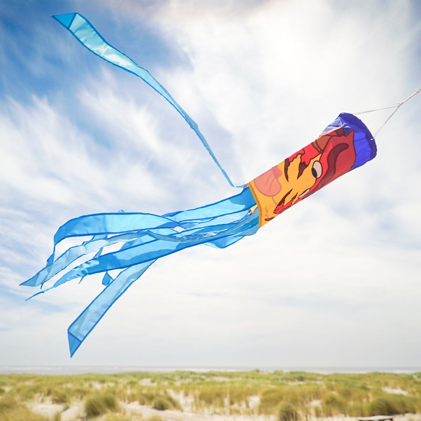 Crab Windsock