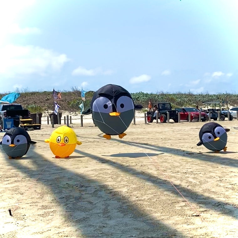 Bouncing Birdeez - Chicken 60m