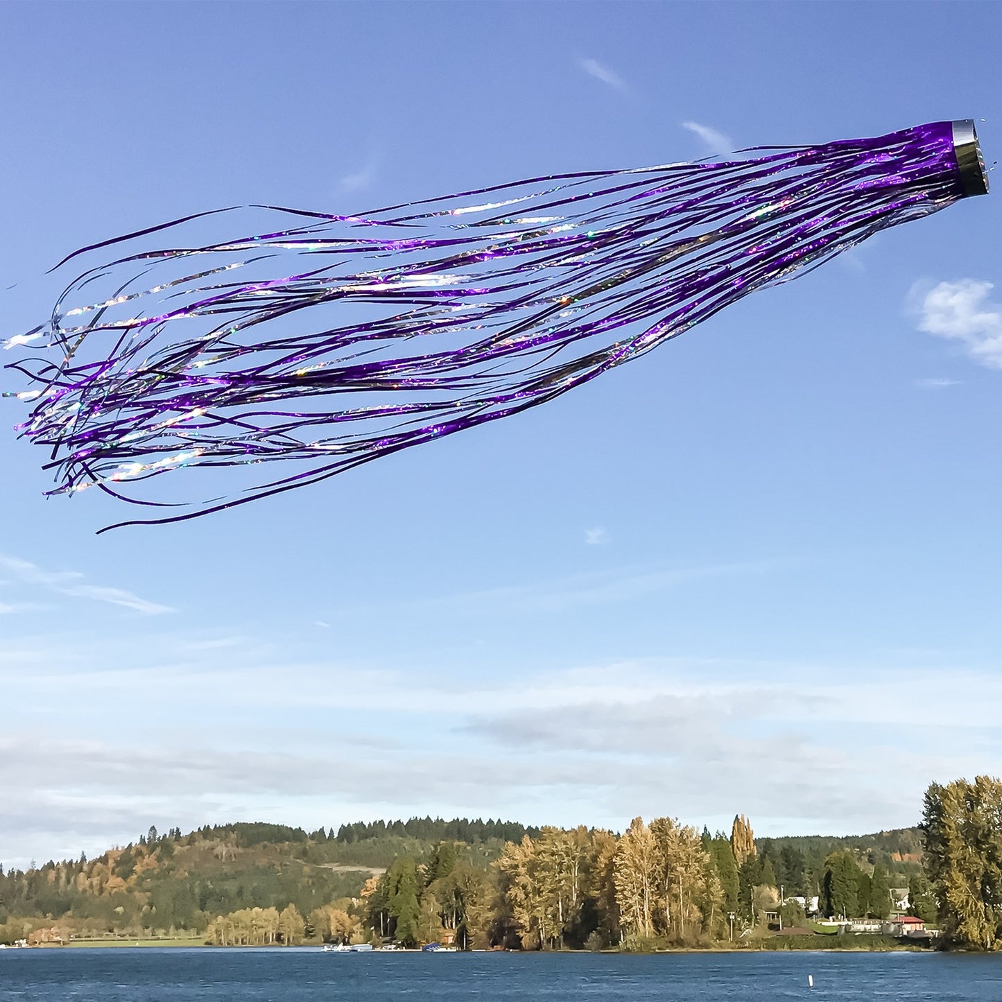Mylar Windsock - Purple