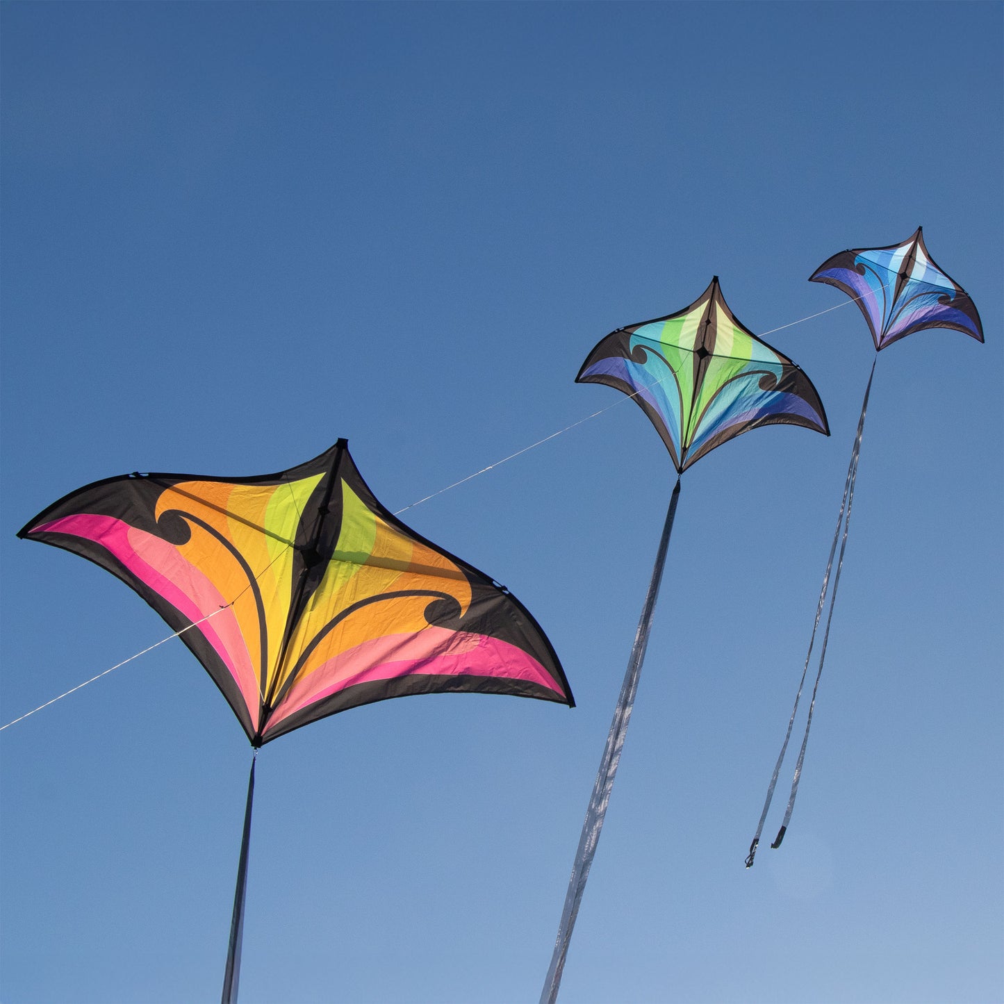 Brasington Swift Delta - Green/Violet