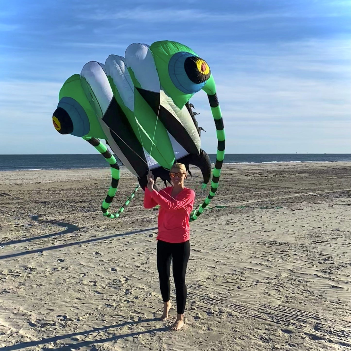 Person holding a large, colorful kite shaped like a trilobite on a beach.