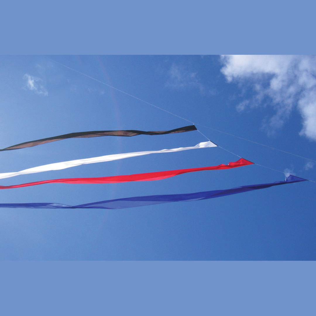 75ft Banner Tail - Blue
