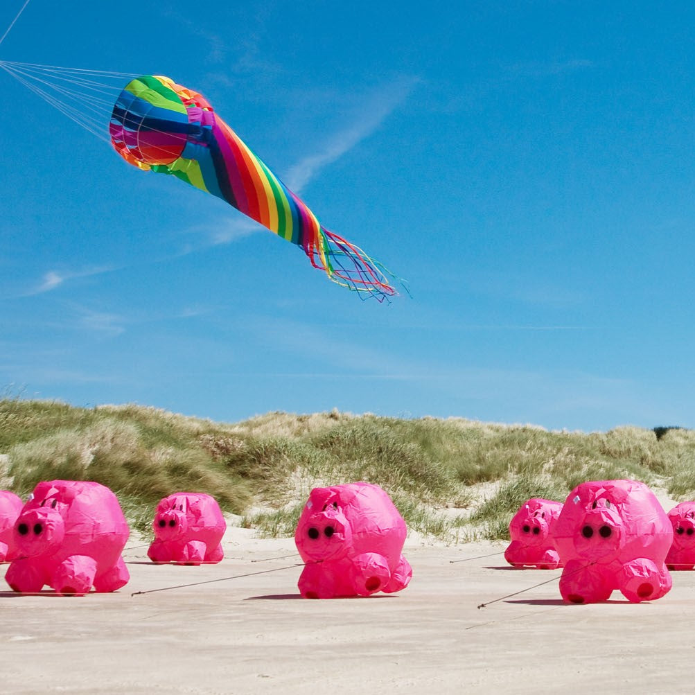 Bouncing Buddy - Porky