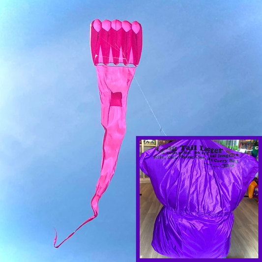Pink kite tail against a blue sky with an inset showing a purple kite bag.