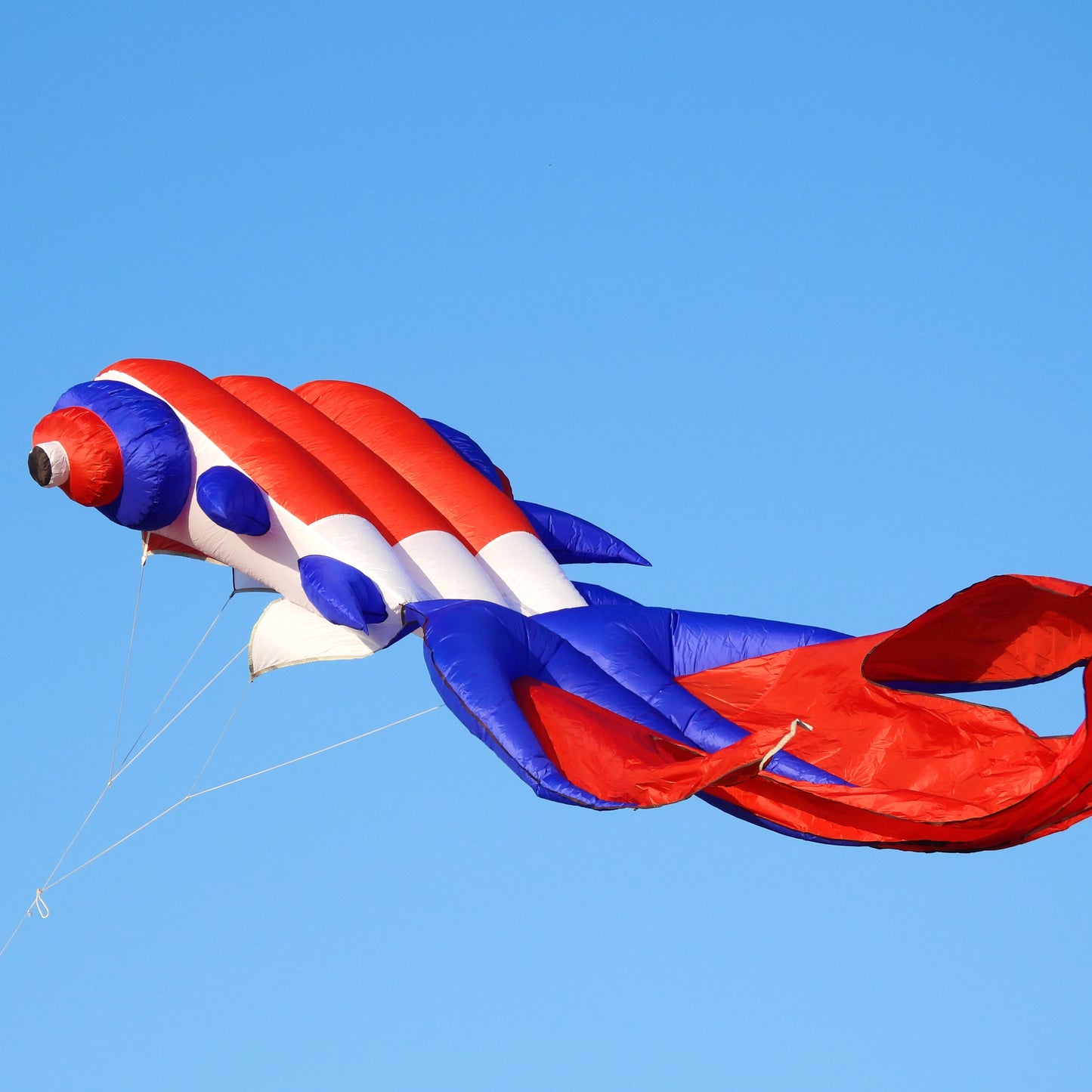 9m Goldfish Kite - Red, White & Blue