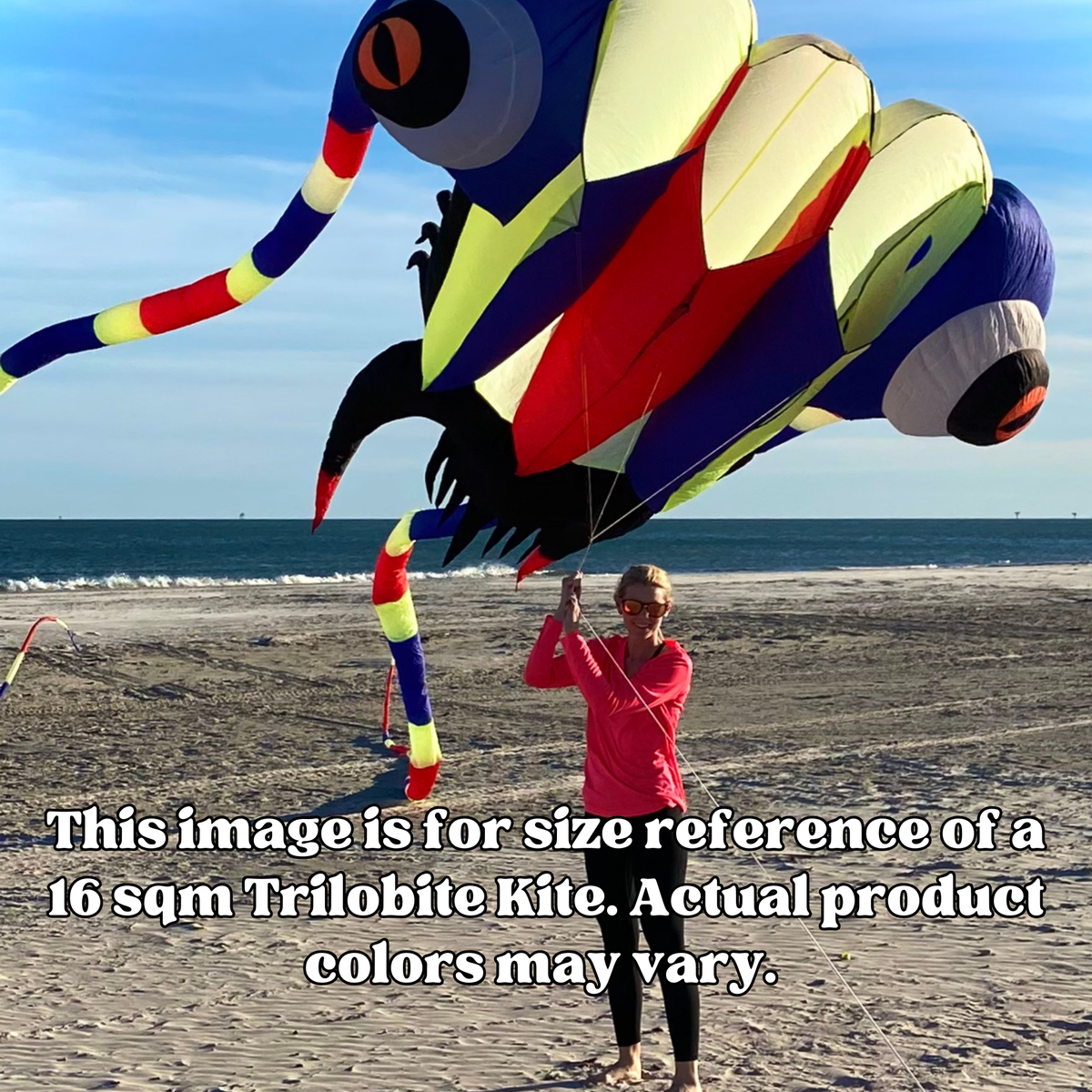 Kite Refrence 16 sqm Trilobite Kite - Red/Yellow/Black – Fly It Port A
