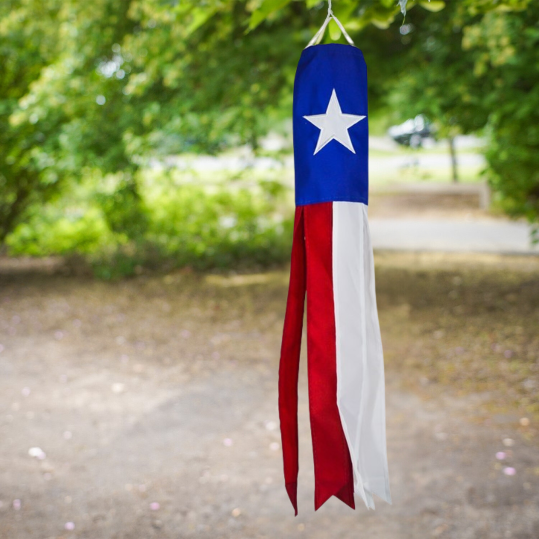 18" Windsock - Texas