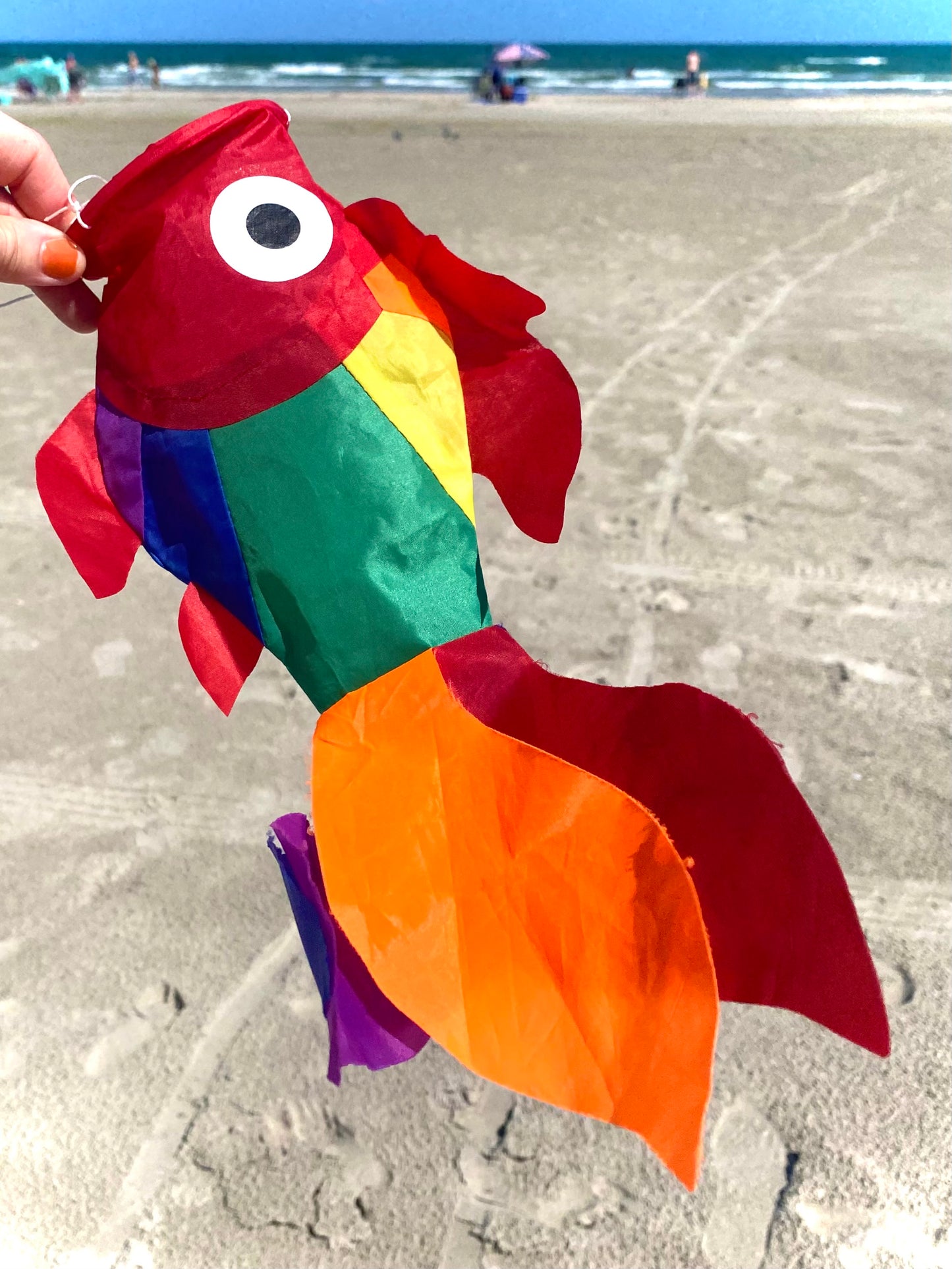 15" Damsel Windsock - Rainbow