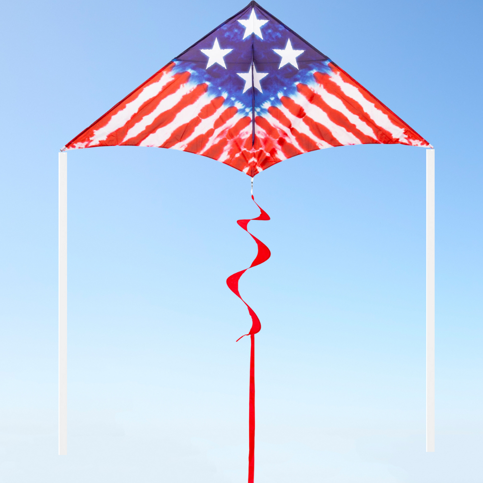 2M Delta Kite - Freedom Flyer – Fly It Port A