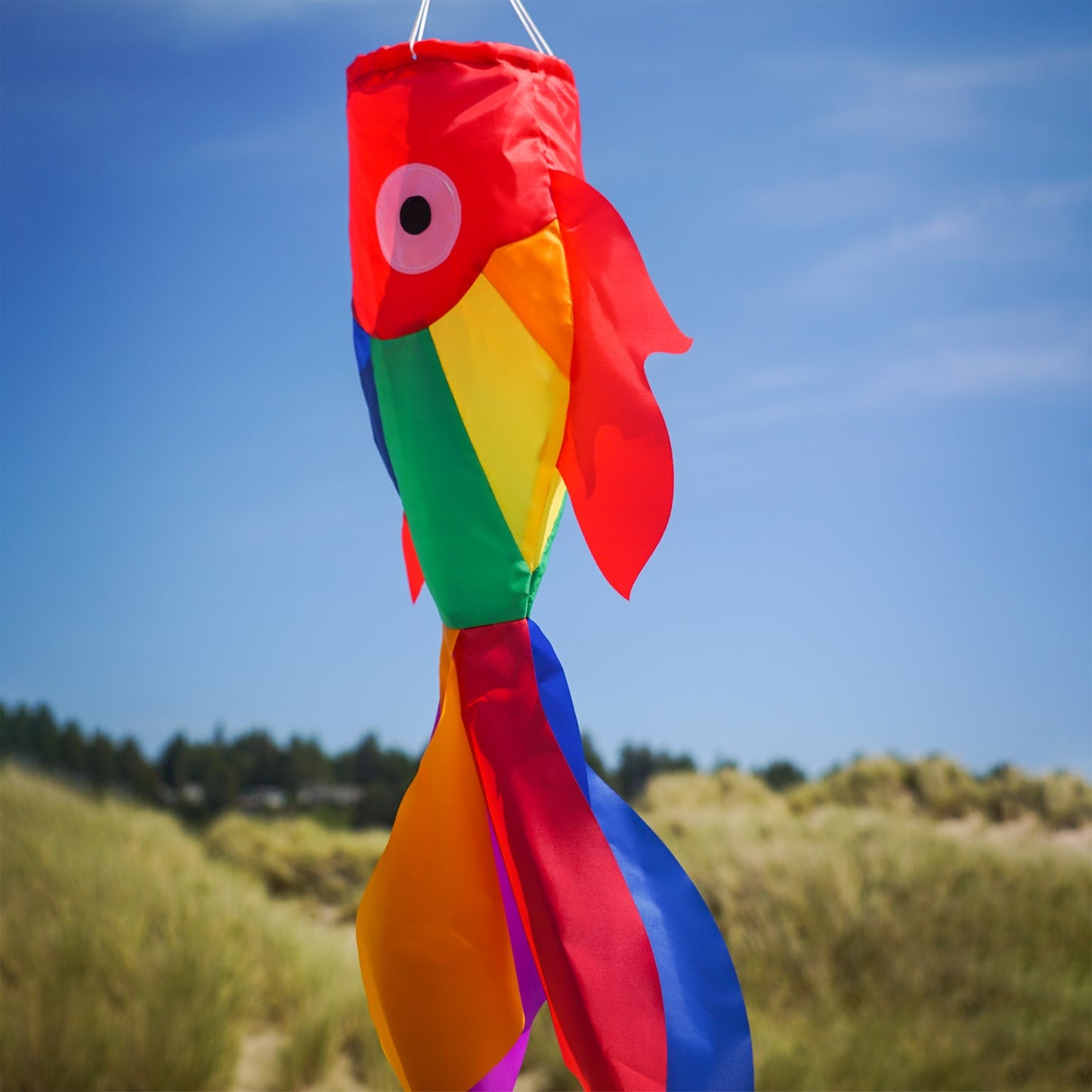 30" Damsel Windsock - Rainbow