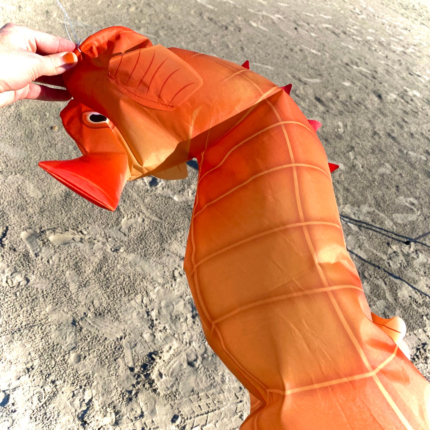 Seahorse 3D Windsock