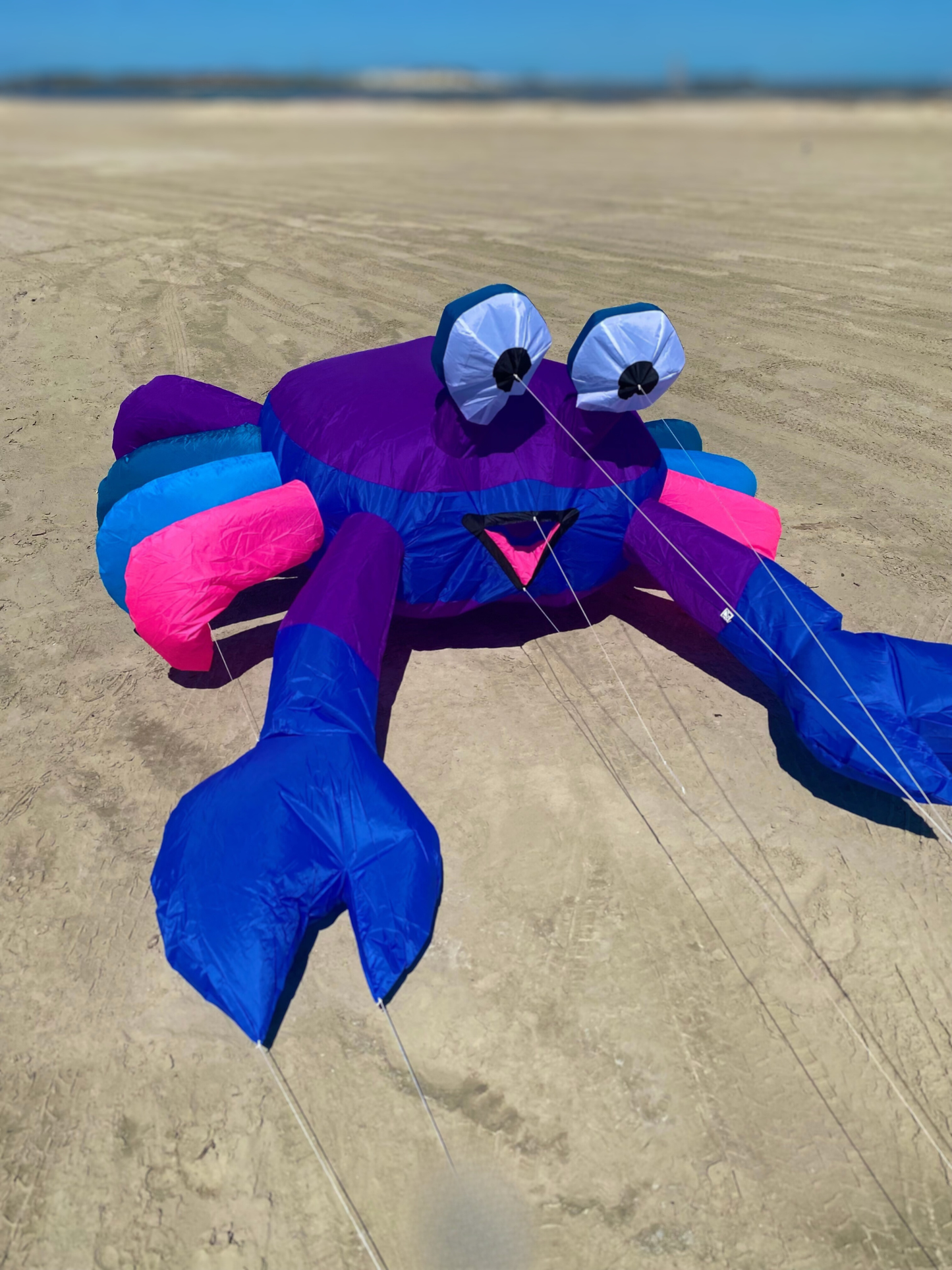 Colorful kite shaped like a crab on a flat, open field