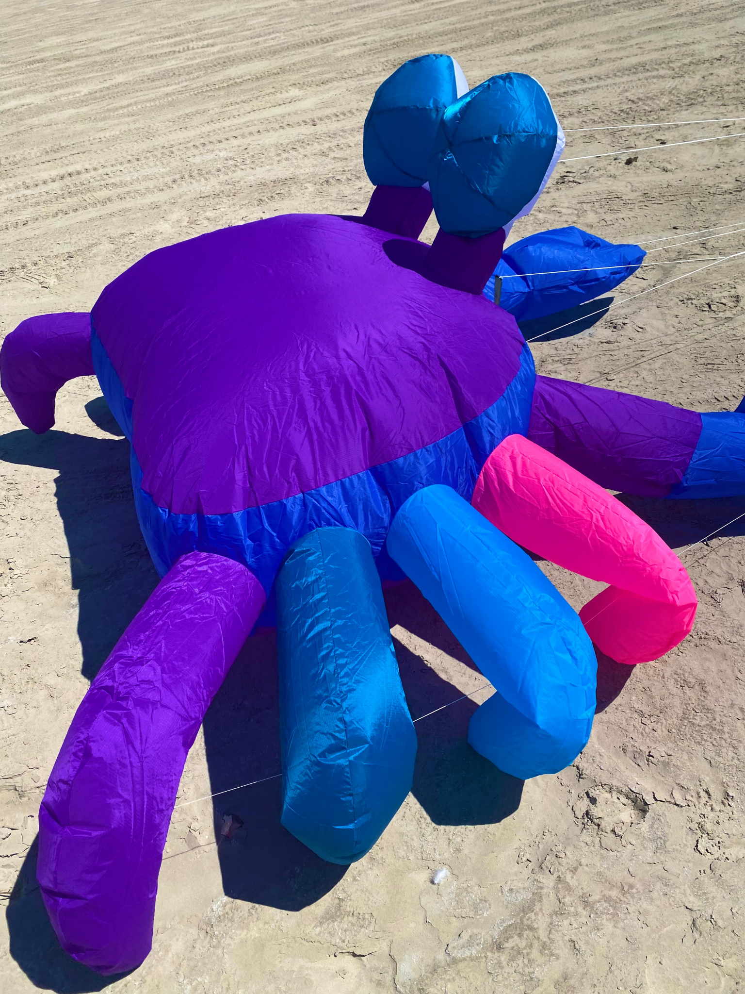 Inflatable purple and blue crab on a sandy surface