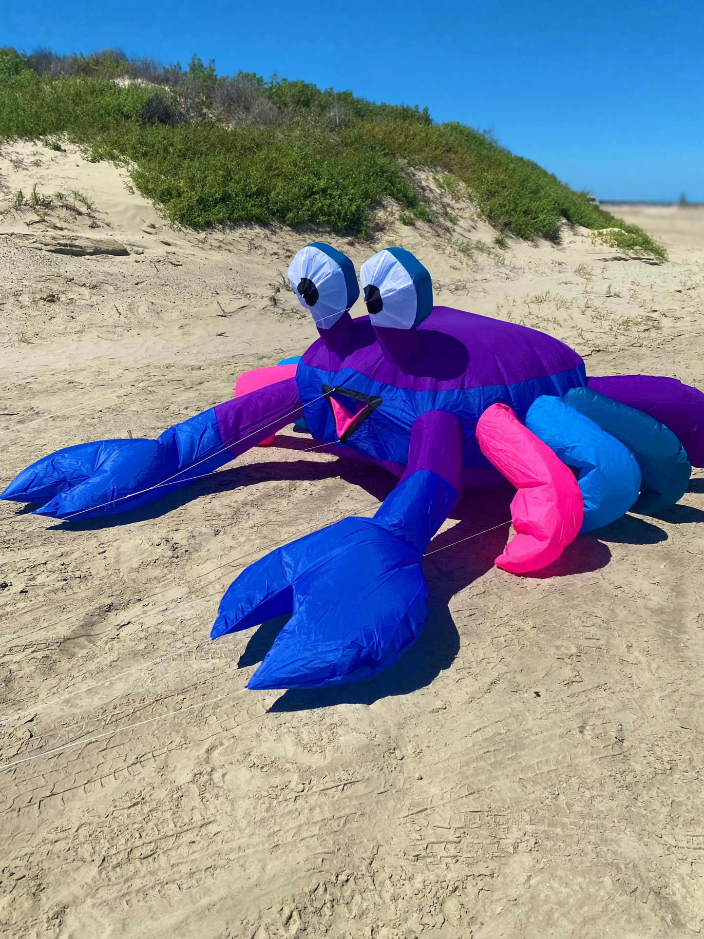 Inflatable crab kite on a sandy beach with greenery in the background