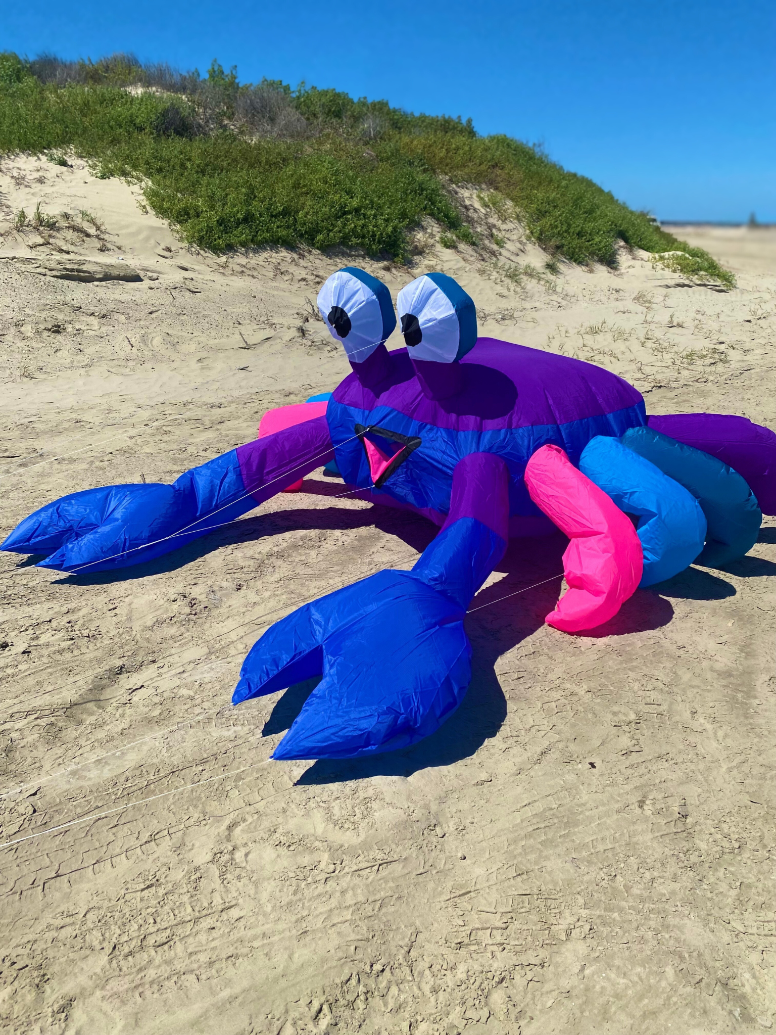 Inflatable crab kite on a sandy beach with greenery in the background