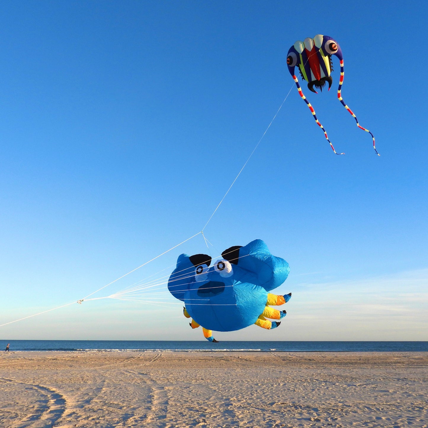 A trilobite kite holding up a crab line laundry piece in the sky above a beach.