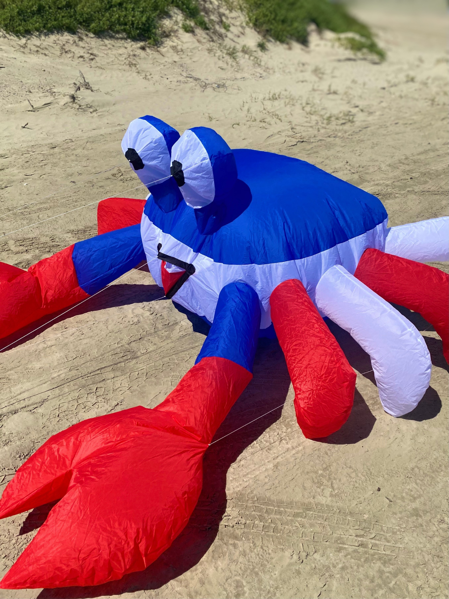 Inflatable crab kite on a sandy surface