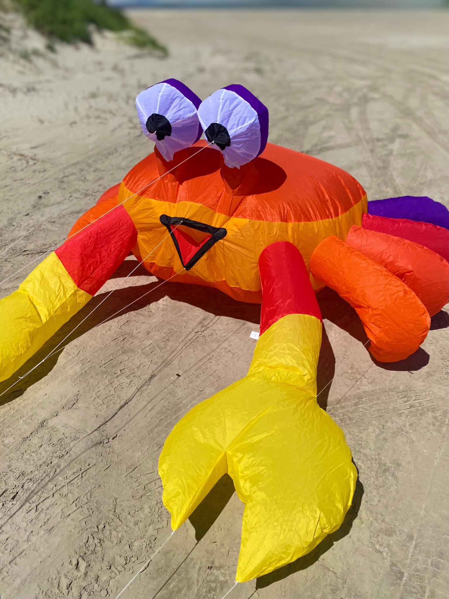 Colorful inflatable crab kite on a sandy beach