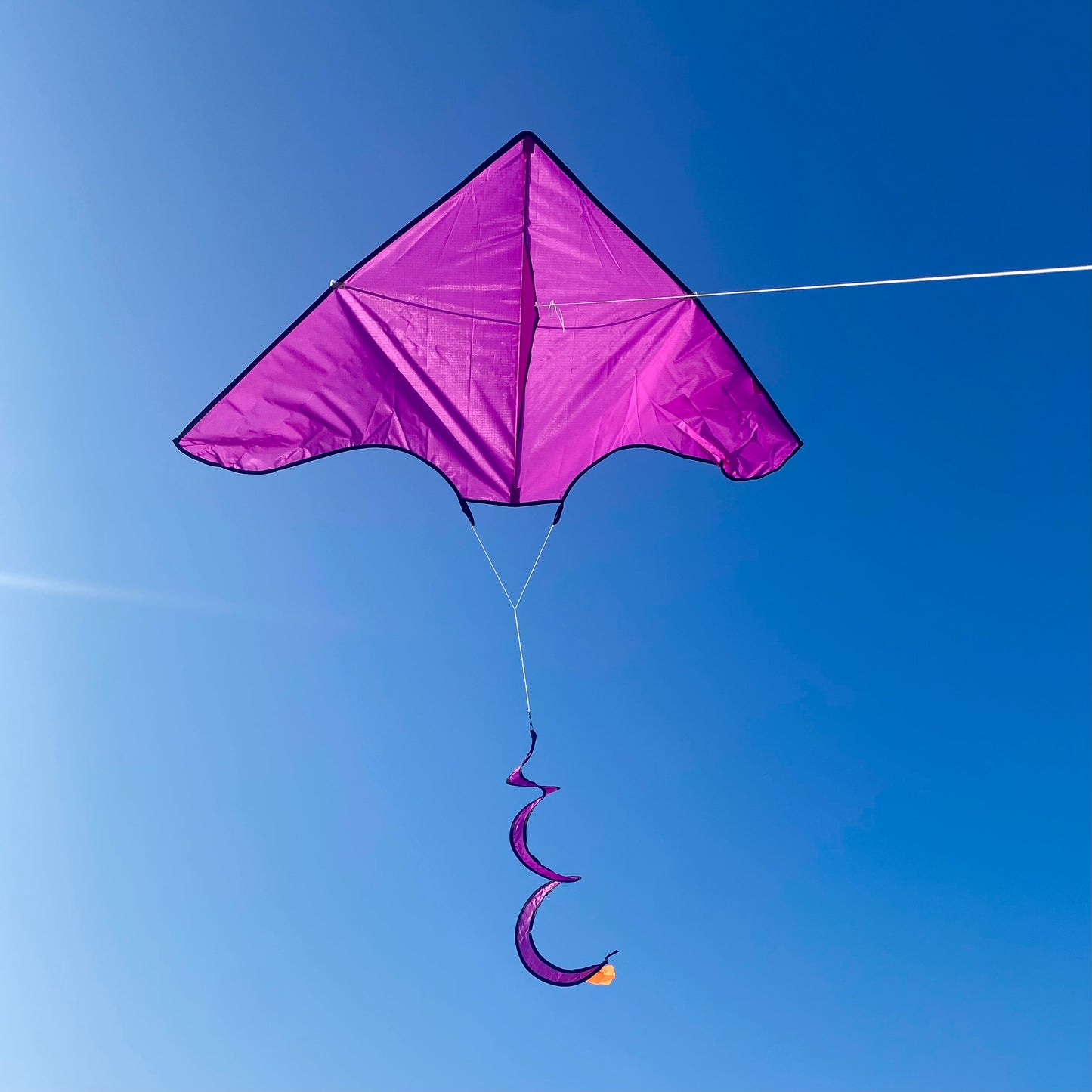 Purple Delta Kite