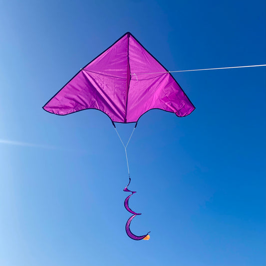 Purple Delta Kite