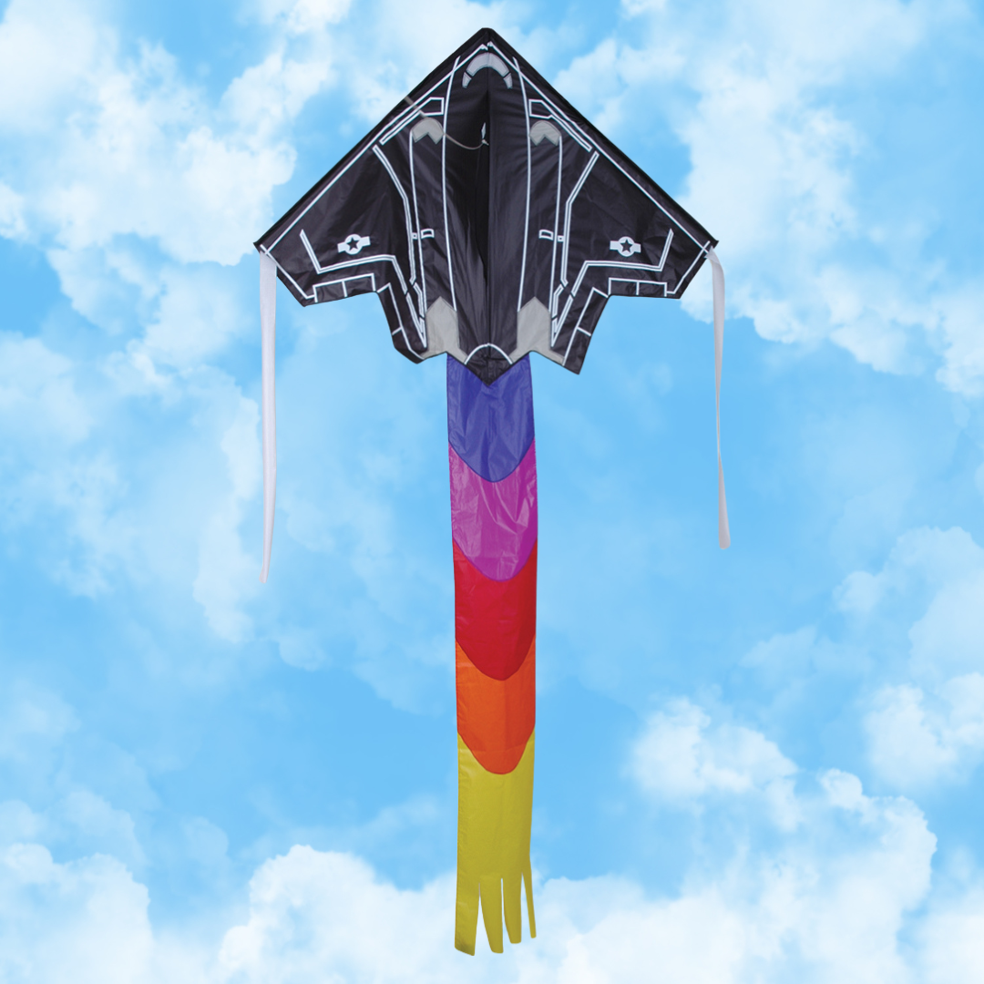 Large Easy Flyer Kite - F16