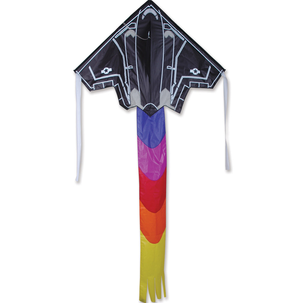 Large Easy Flyer Kite - F16