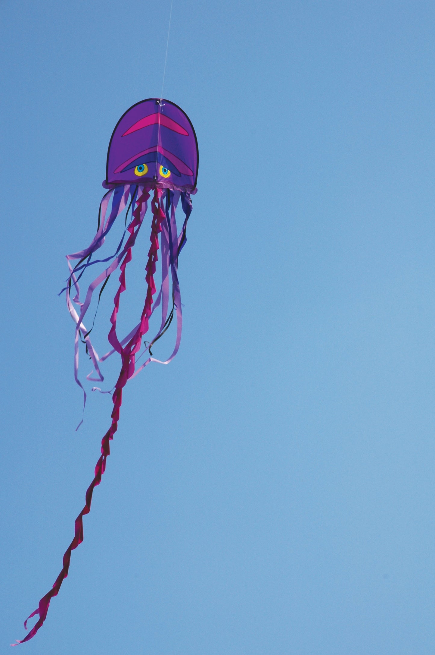 Cool Jellyfish Kite